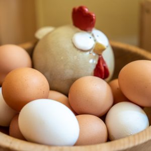 Eggs: Healthy things from the Chicken Coop